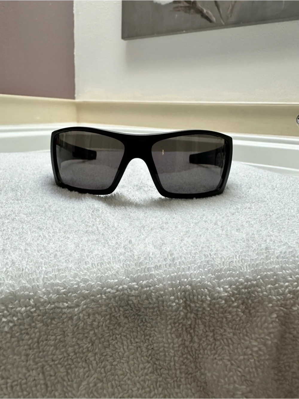 Oakley Batwolf Sunglasses with Graphic Pouch